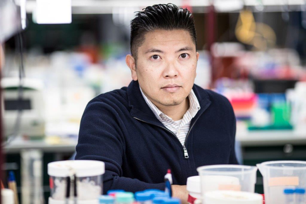 Duc Dong, PhD, assistant professor at Sanford Burnham Prebys Medical Discovery Institute