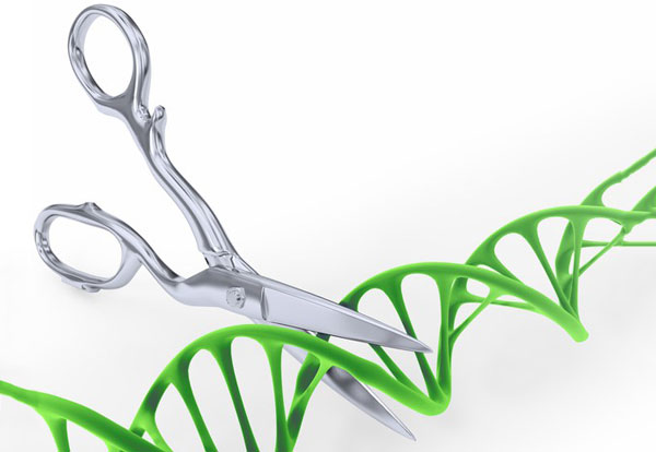 CRISPR gene editing