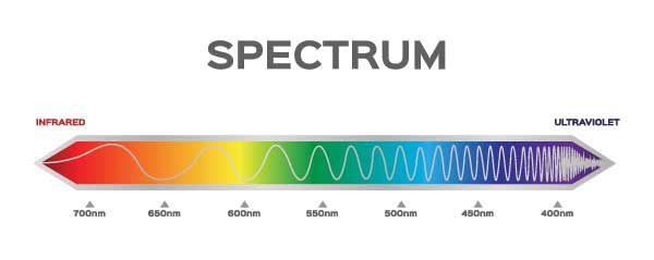 Blue light has more energy than green light. 