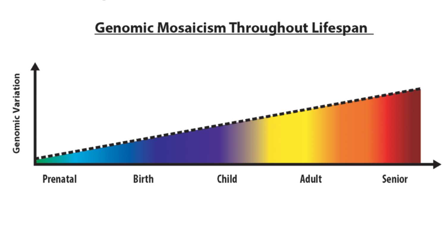 Genomic mosaicism increases over time