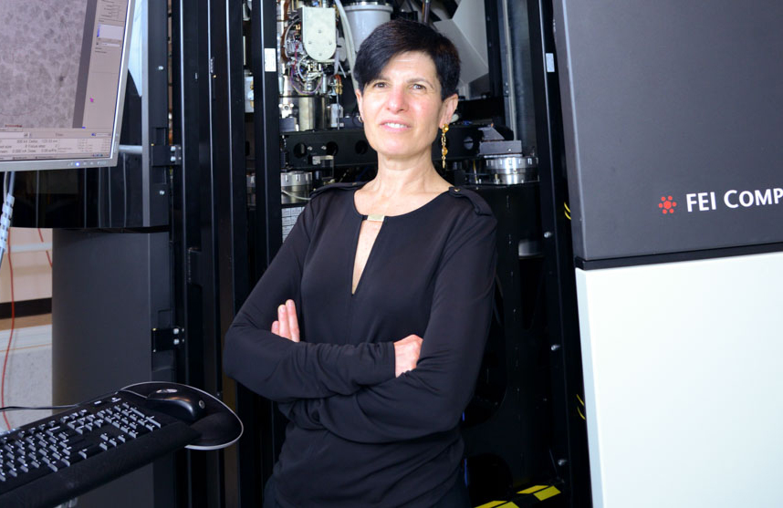 Dorit Hanein PhD, SBP