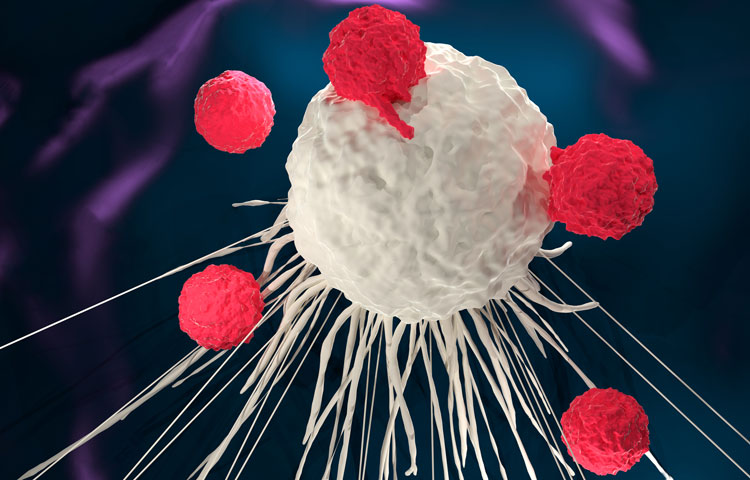 3D illustration of T cells attacking a cancer cell (CAR-T cell therapy)