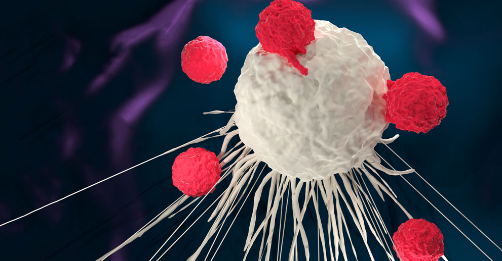 3D illustration of T cells attacking a cancer cell (CAR-T cell therapy)