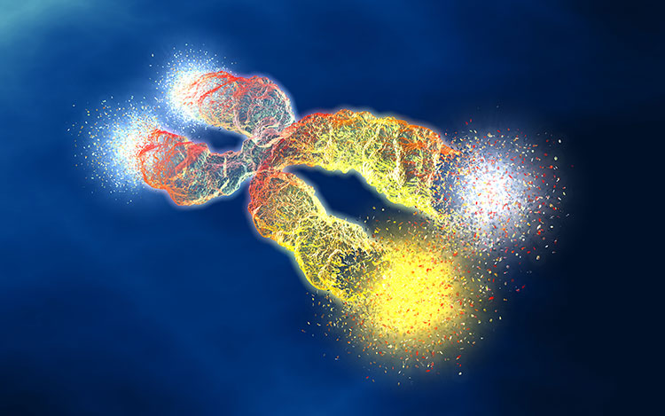 telomere DNA illustration