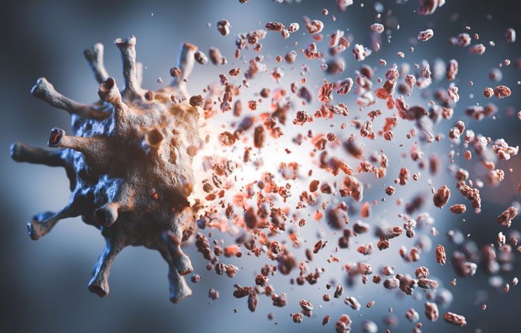 3D illustration of Coronavirus breaking up into pieces