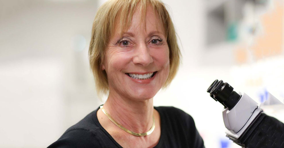 Karen Ocorr, PhD