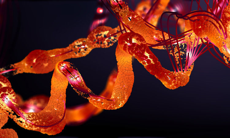 Rendering of a red-orange protein molecule on a black background