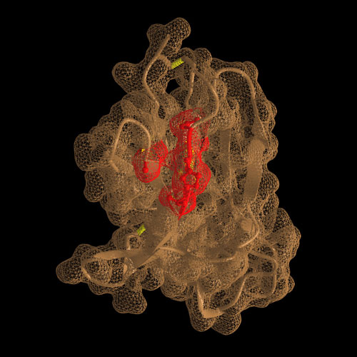 This visualization shows BTLA being recognized by the antibody LY3361237