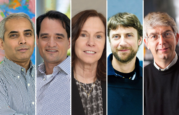 Aninyda Bagchi, PhD, Linda Bradley, Lukas Chavez, PhD, Nicholas Cosford, PhD, and Michael Jackson, PhD