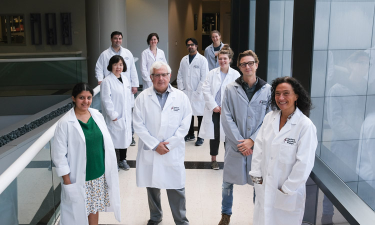 Ze'ev Ronai and scientists in  Cancer Center hallway