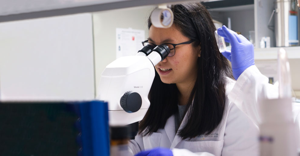 Vivian Tieu working at microscope in the lab