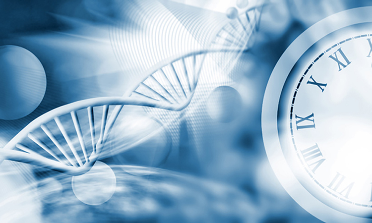 abstract illustration of DNA and clocks