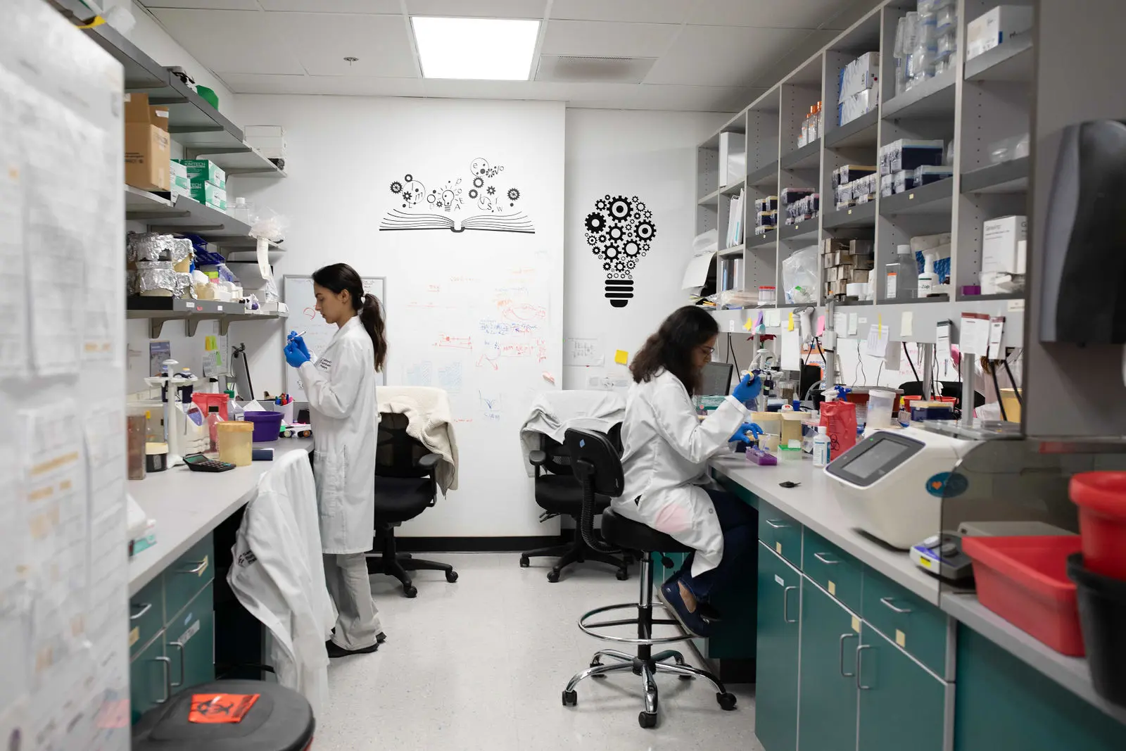 Two scientists working in a lab