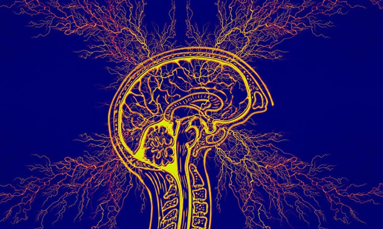 Science Behind Addiction graphic