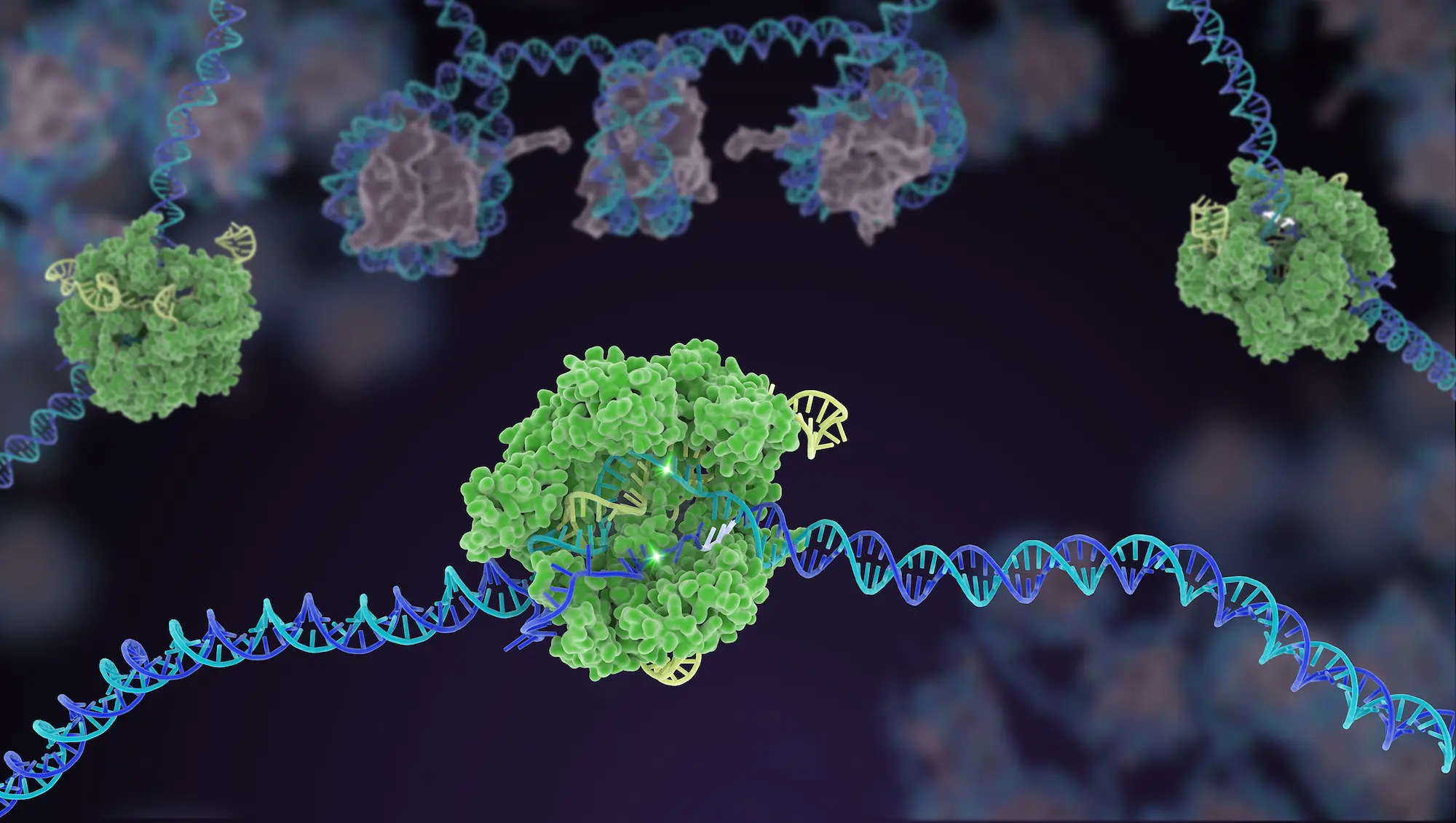 image of cells and dna