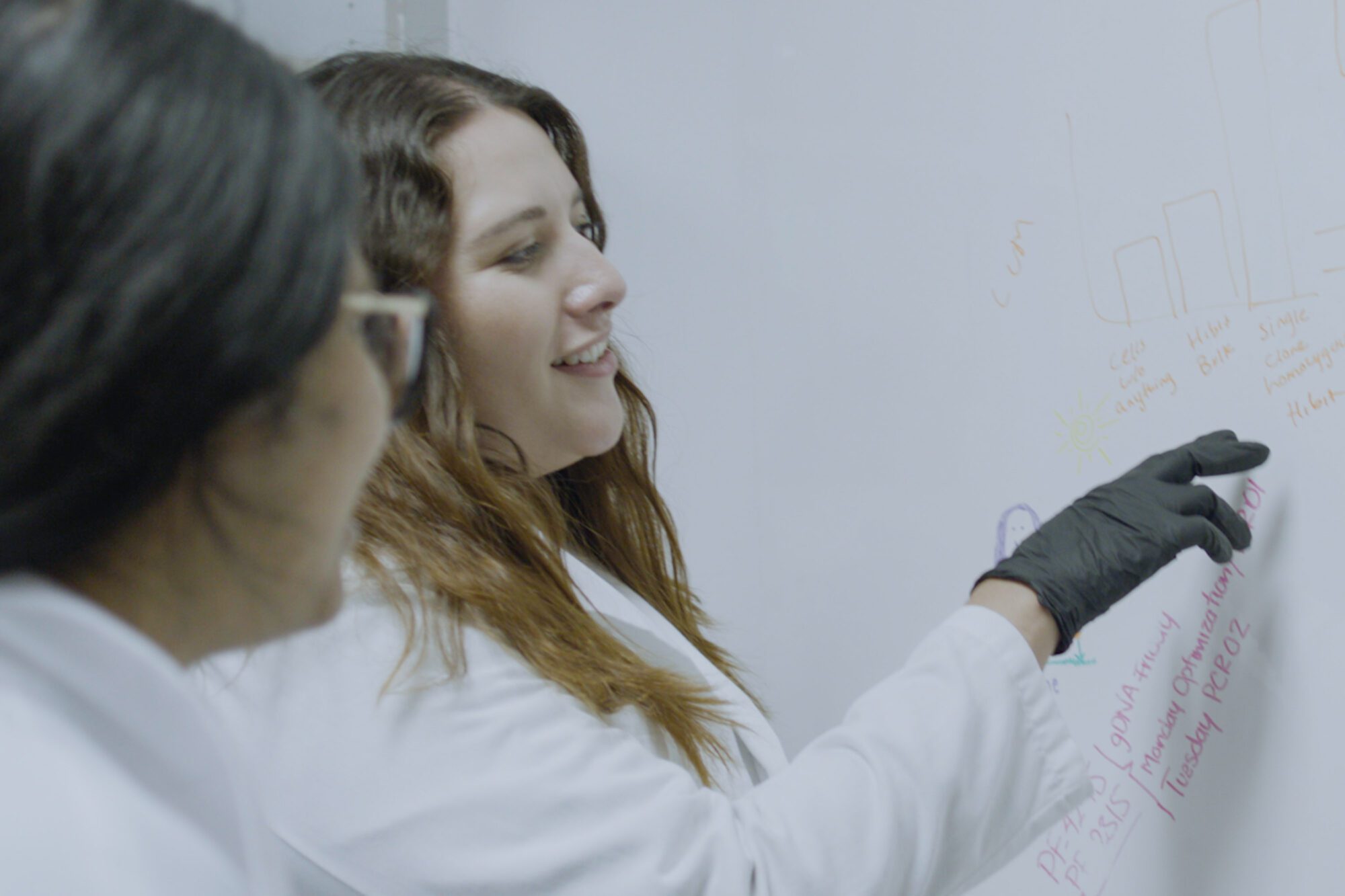 2 scientists collaborate at a whiteboard