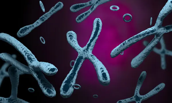 Artist’s rendering X-shaped chromosomes floating in a cell