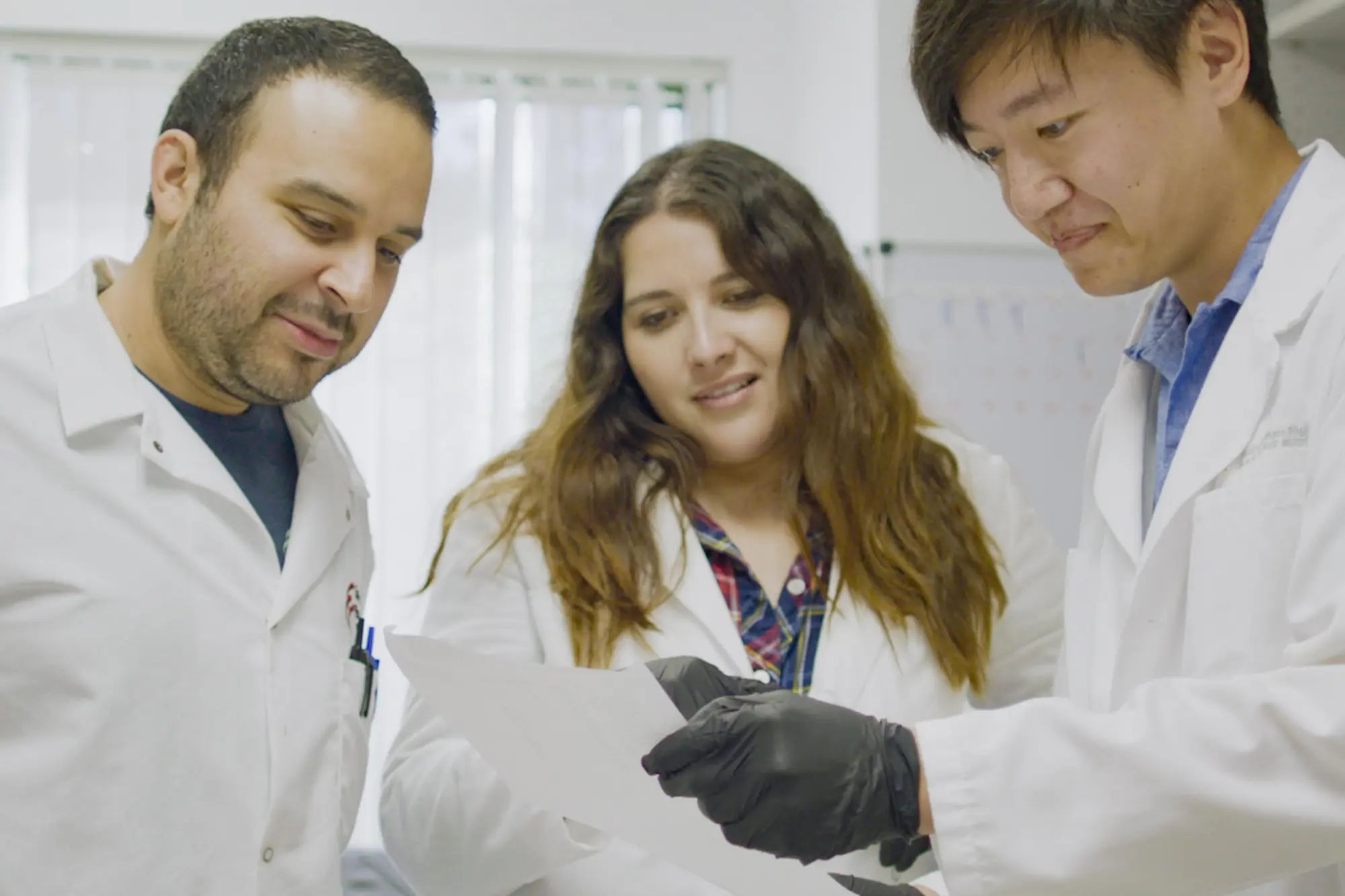 Three scientists collaborate together