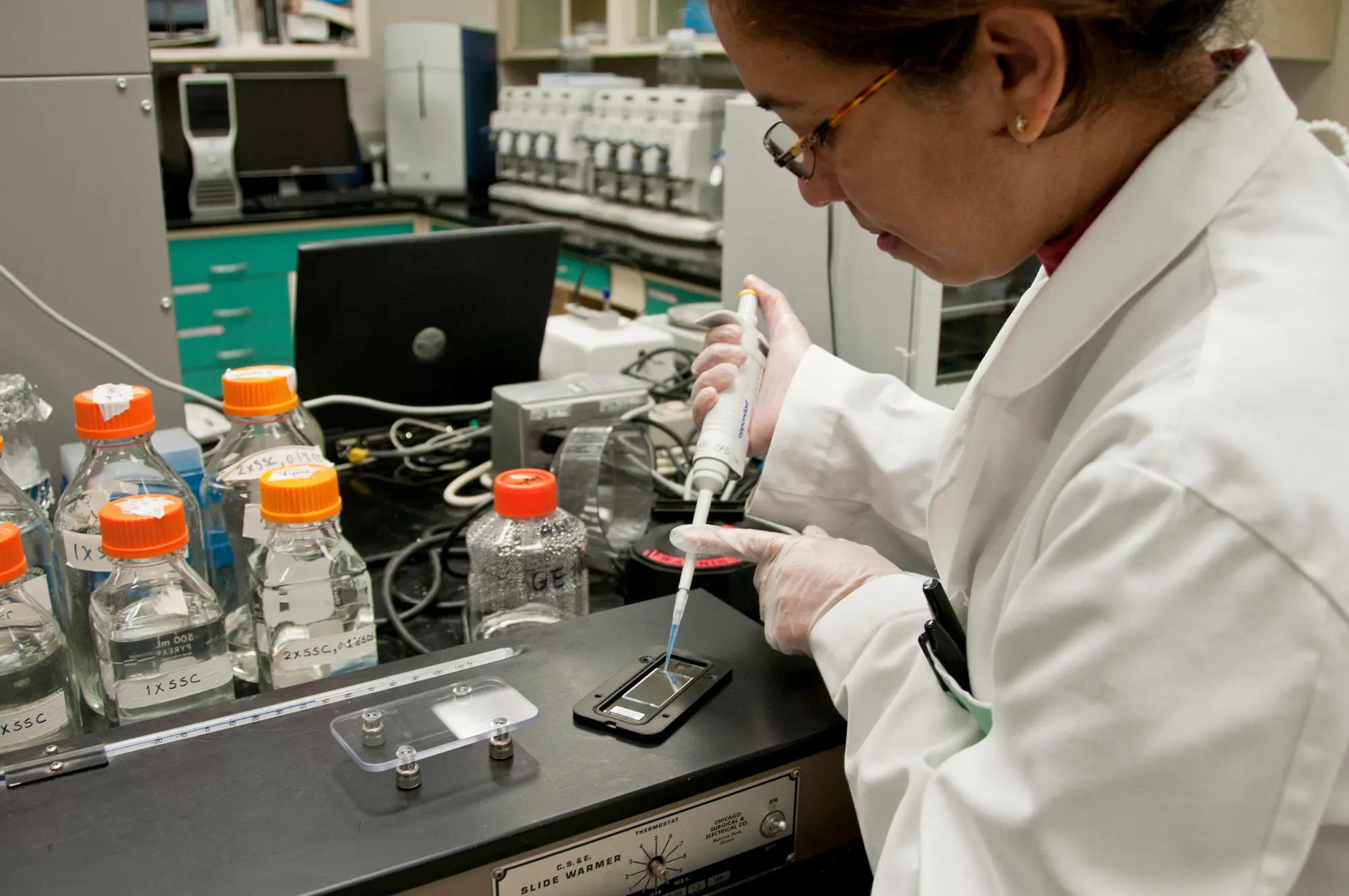 scientist working in a lab