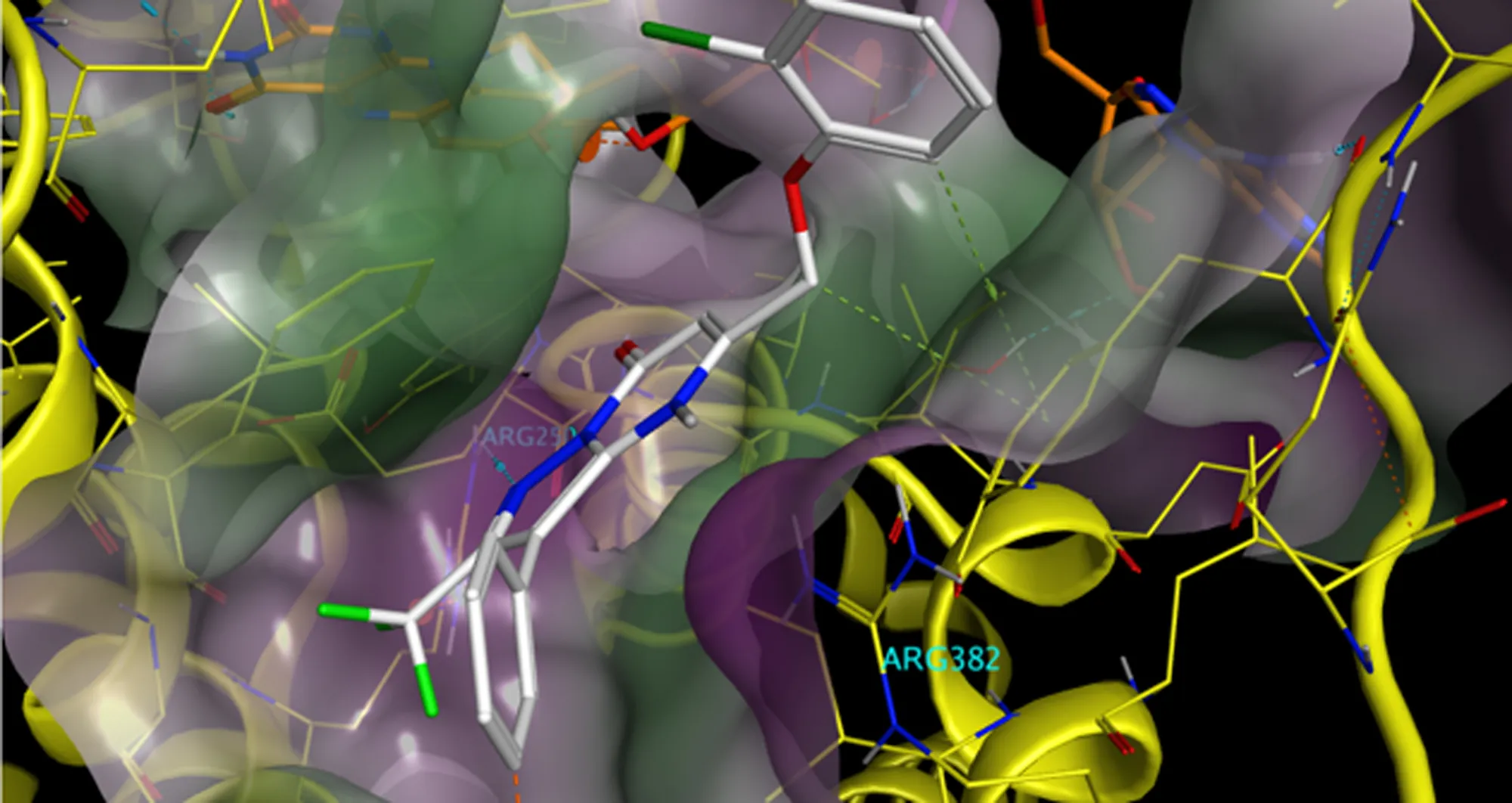 image derived from cryo-electron microscopy of SBI-4710, a small molecule inhibitor discovered at Sanford Burnham Prebys