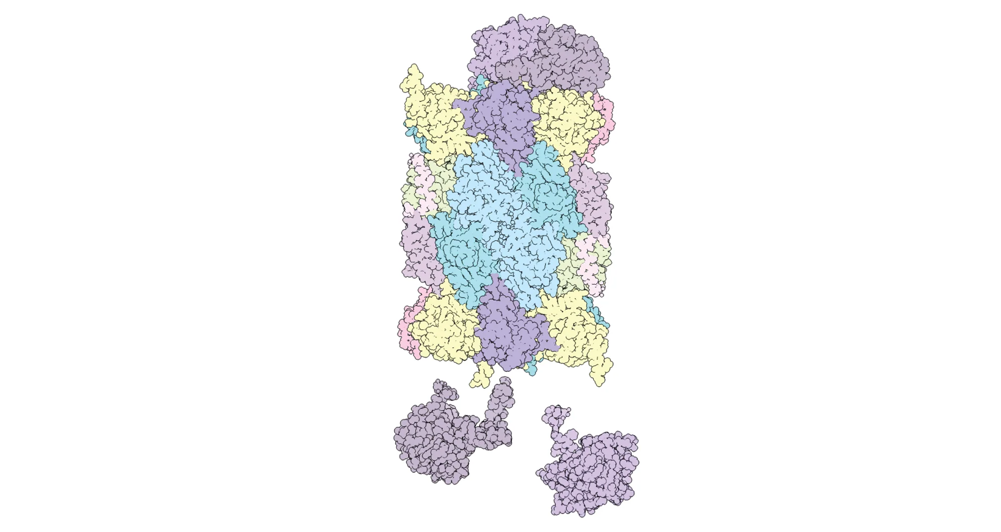 3D rendering of a proteasome