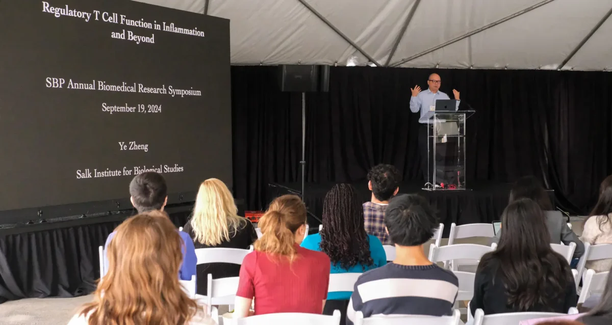 Ye Zheng giving keynote address at 2024 Biomedical Research Symposium