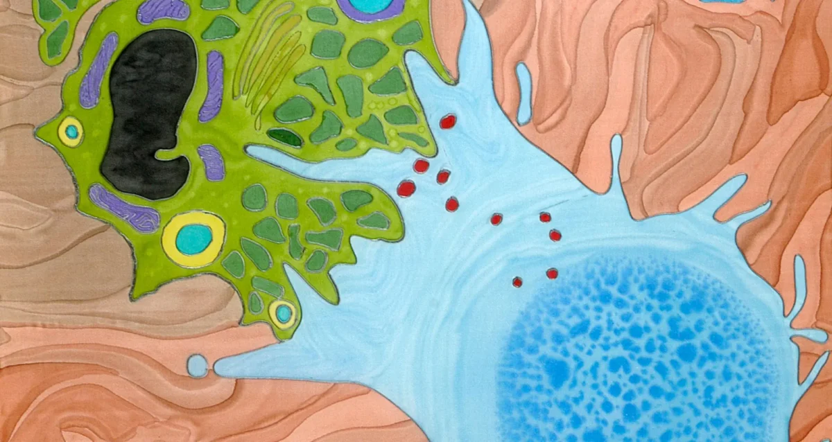 artistic rendering of T cell killing cancer cell by Odra Noel