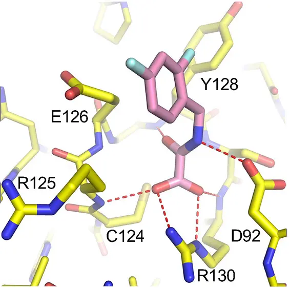 molecular fragments uncovered using fragment-based drug discovery