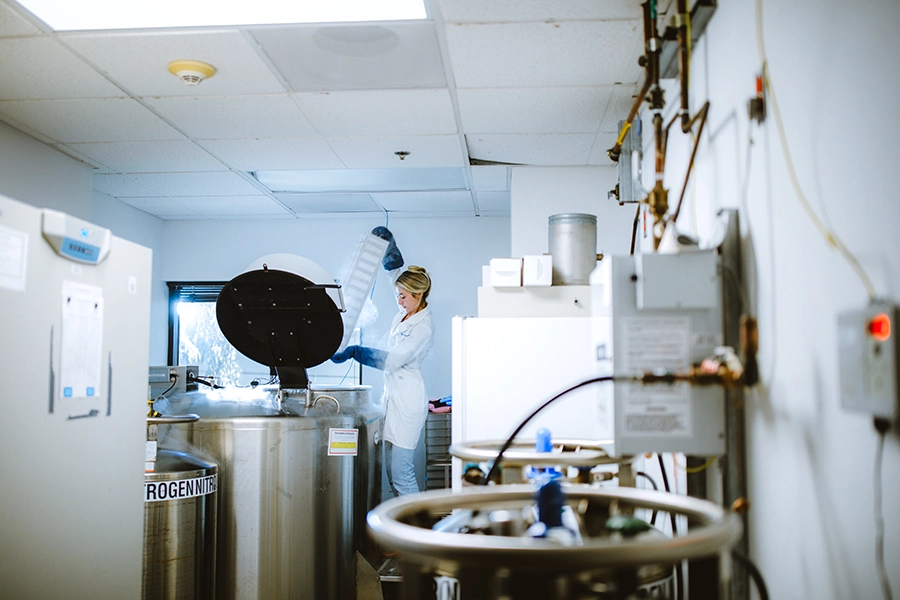 Graduate student Caitlin Lange removes samples from storage in a liquid nitrogen tank. Lange conducts aging research in the lab of Caroline Kumsta, PhD, an assistant professor in the Development, Aging and Regeneration Program at Sanford Burnham Prebys.