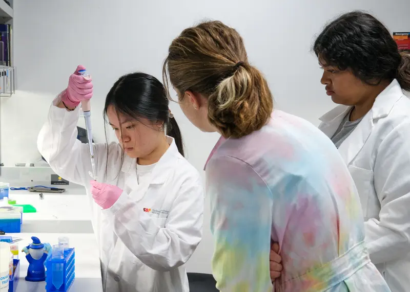 Preuss Interns conducting experiment using fruit flies, pipetting in the lab