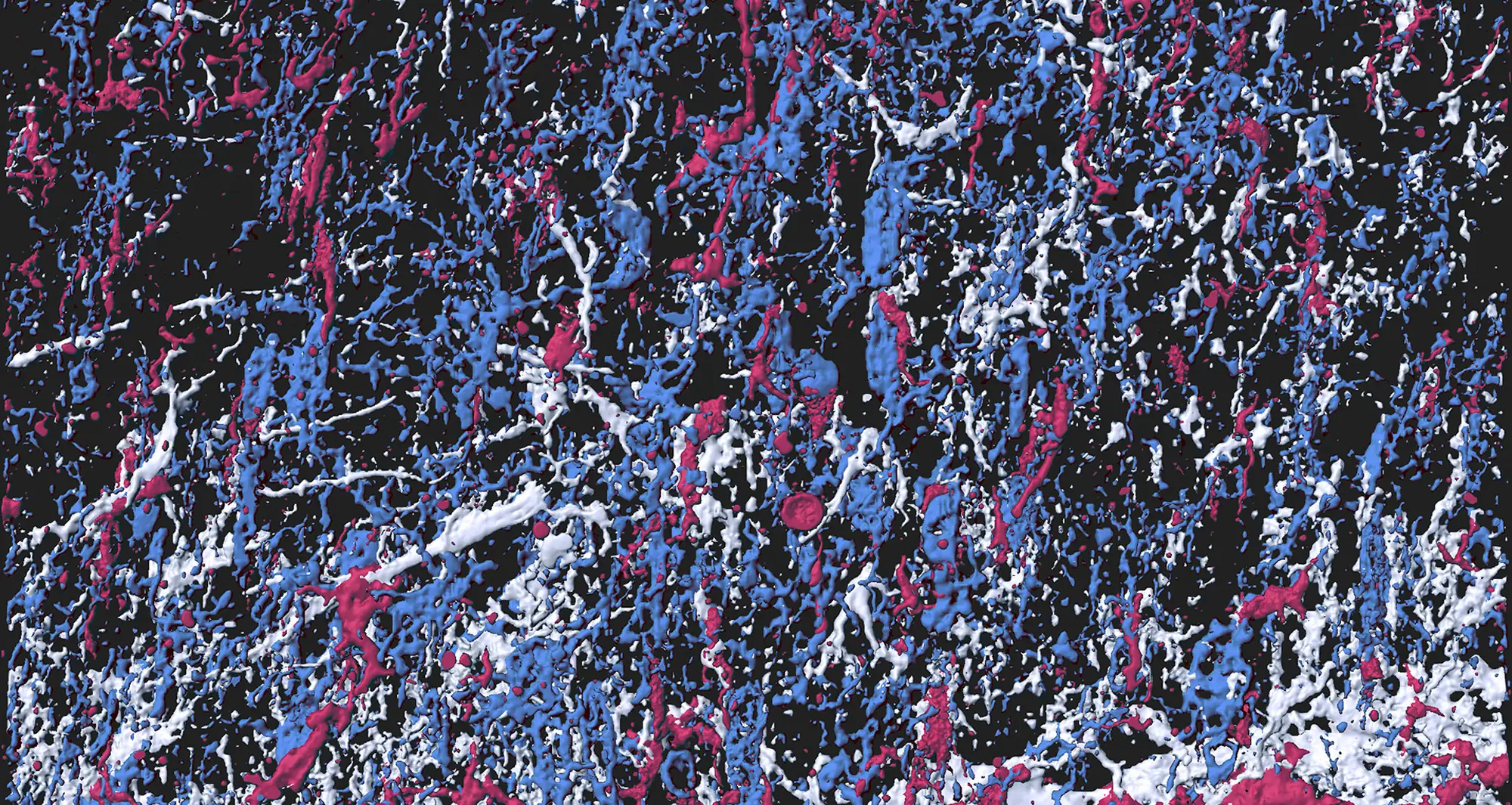 Pollock’s Glia. Image courtesy of Yixun Su.