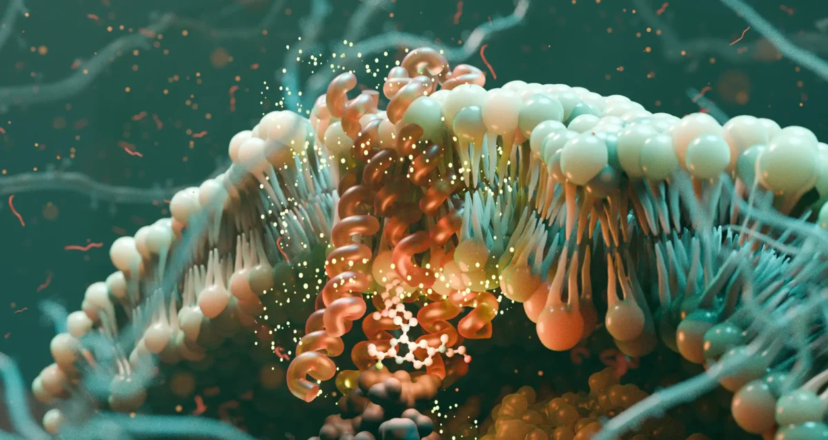 protein animaiton