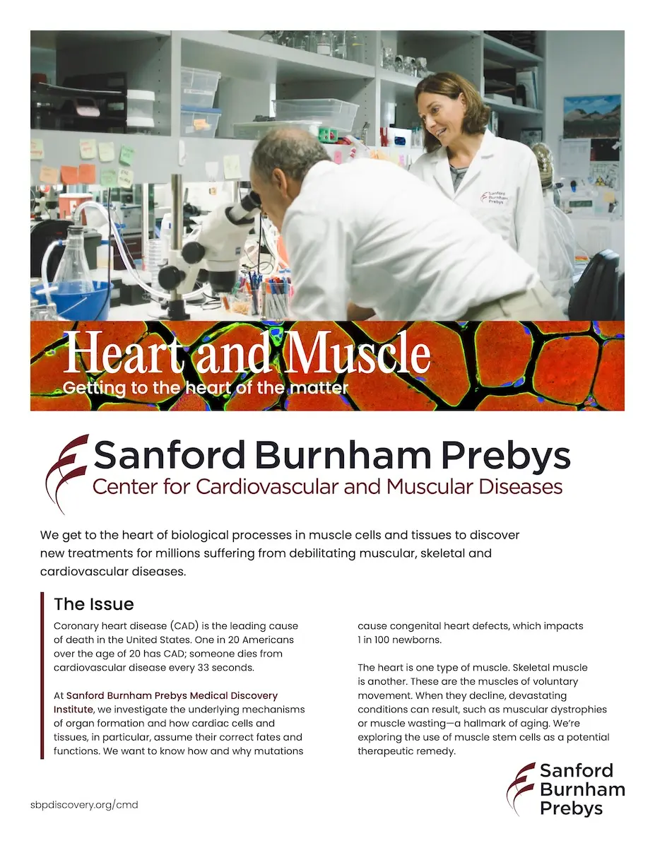 Center for Cardiovascular and Muscular Diseases 2 pager cover