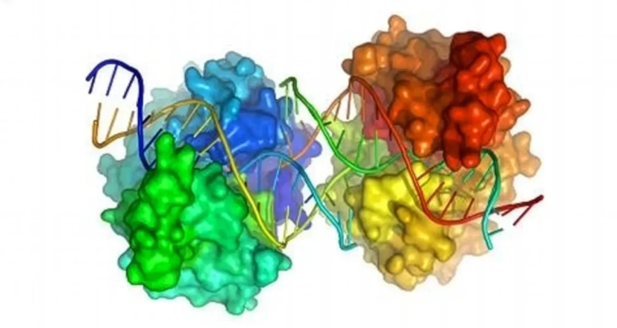 Computational or in silico modeling