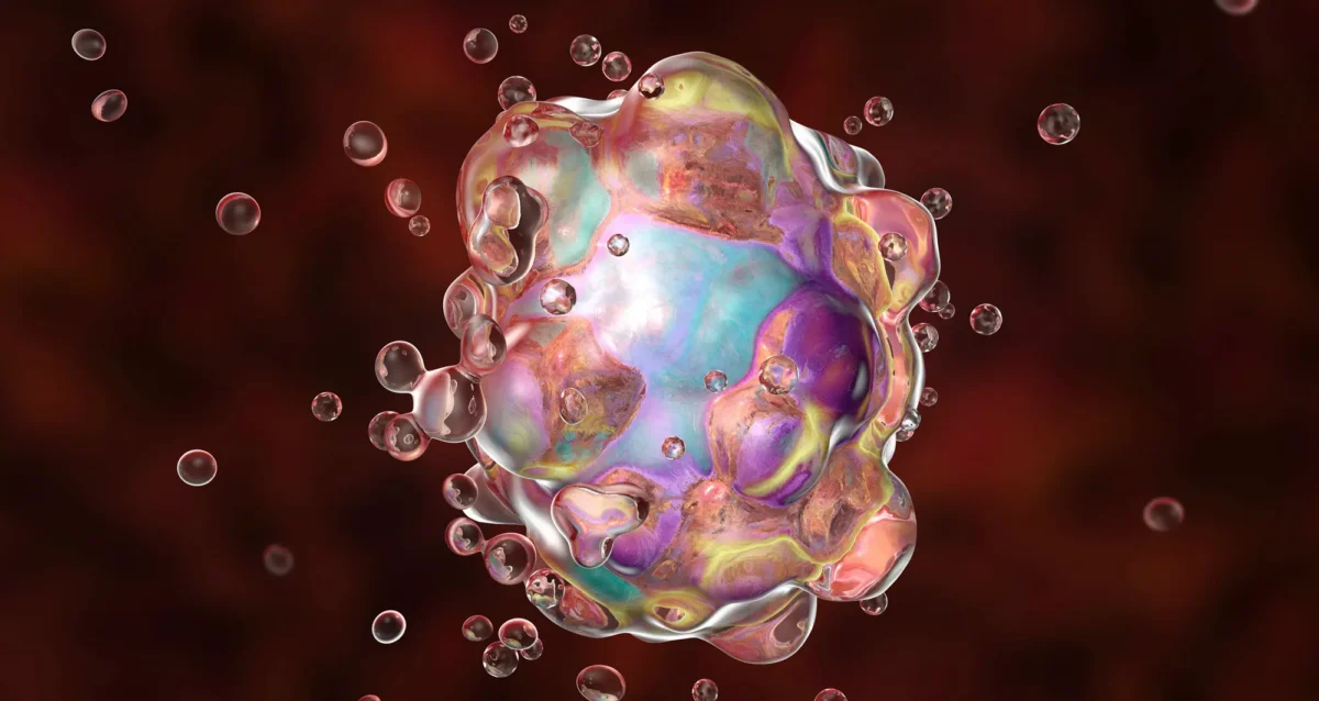 illustration of Cell apoptosis. Image credit: Shutterstock