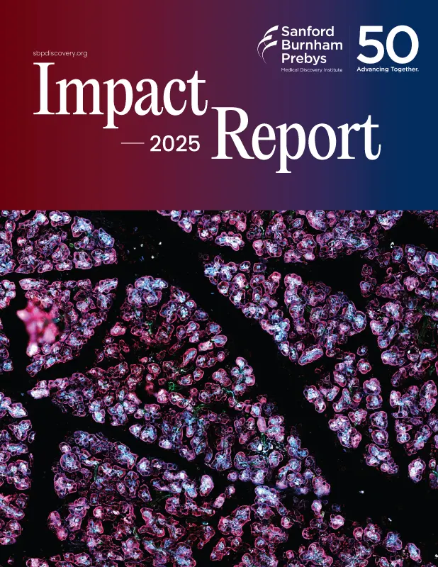 2025 Impact Report cover