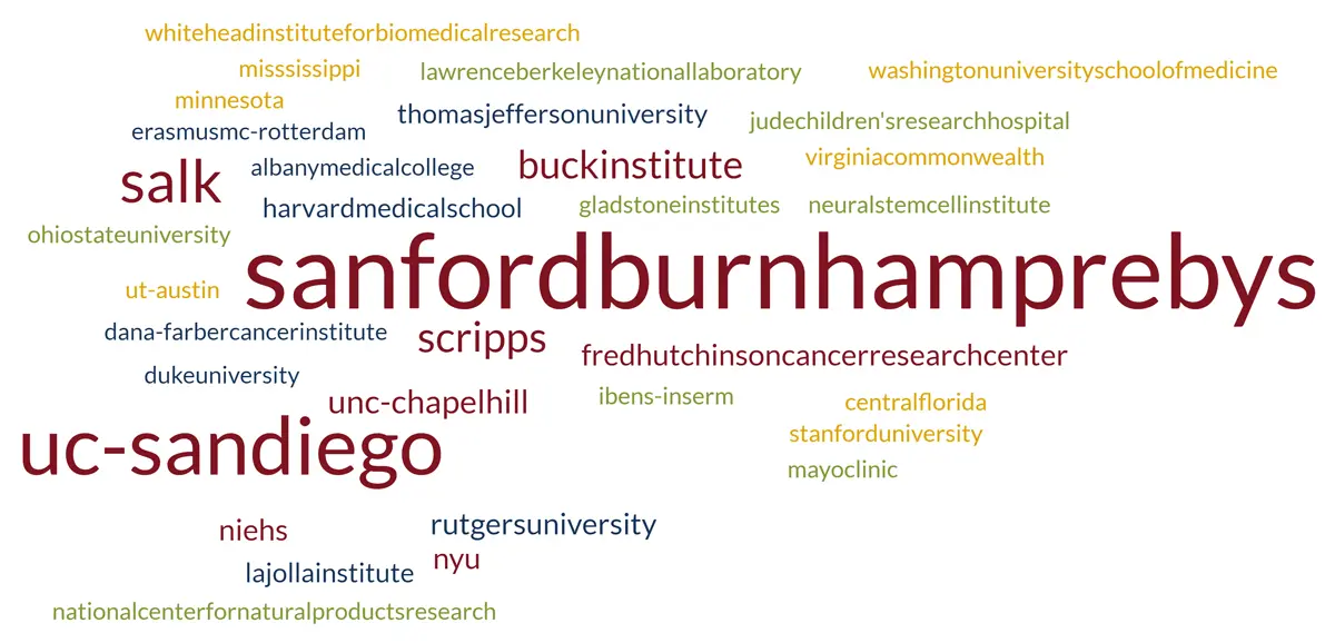 Foundations of Leadership Program word cloud