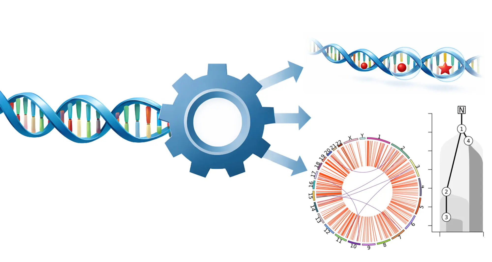 This illustration demonstrates how metapipeline-DNA processes raw genome sequencing data. Image credit: Yash Patel, Sanford Burnham Prebys.