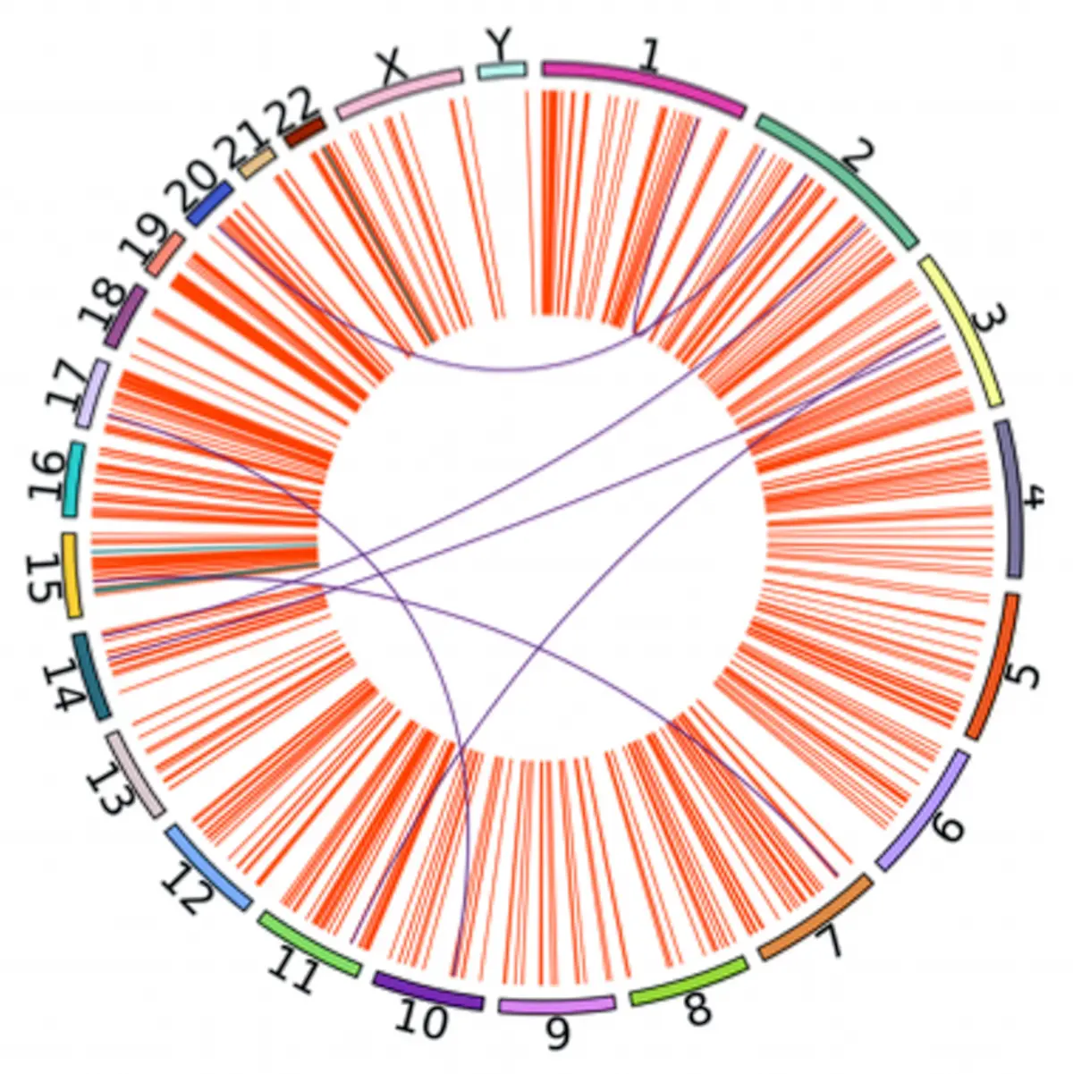 This illustration demonstrates how metapipeline-DNA processes raw genome sequencing data. Image credit: Yash Patel, Sanford Burnham Prebys.