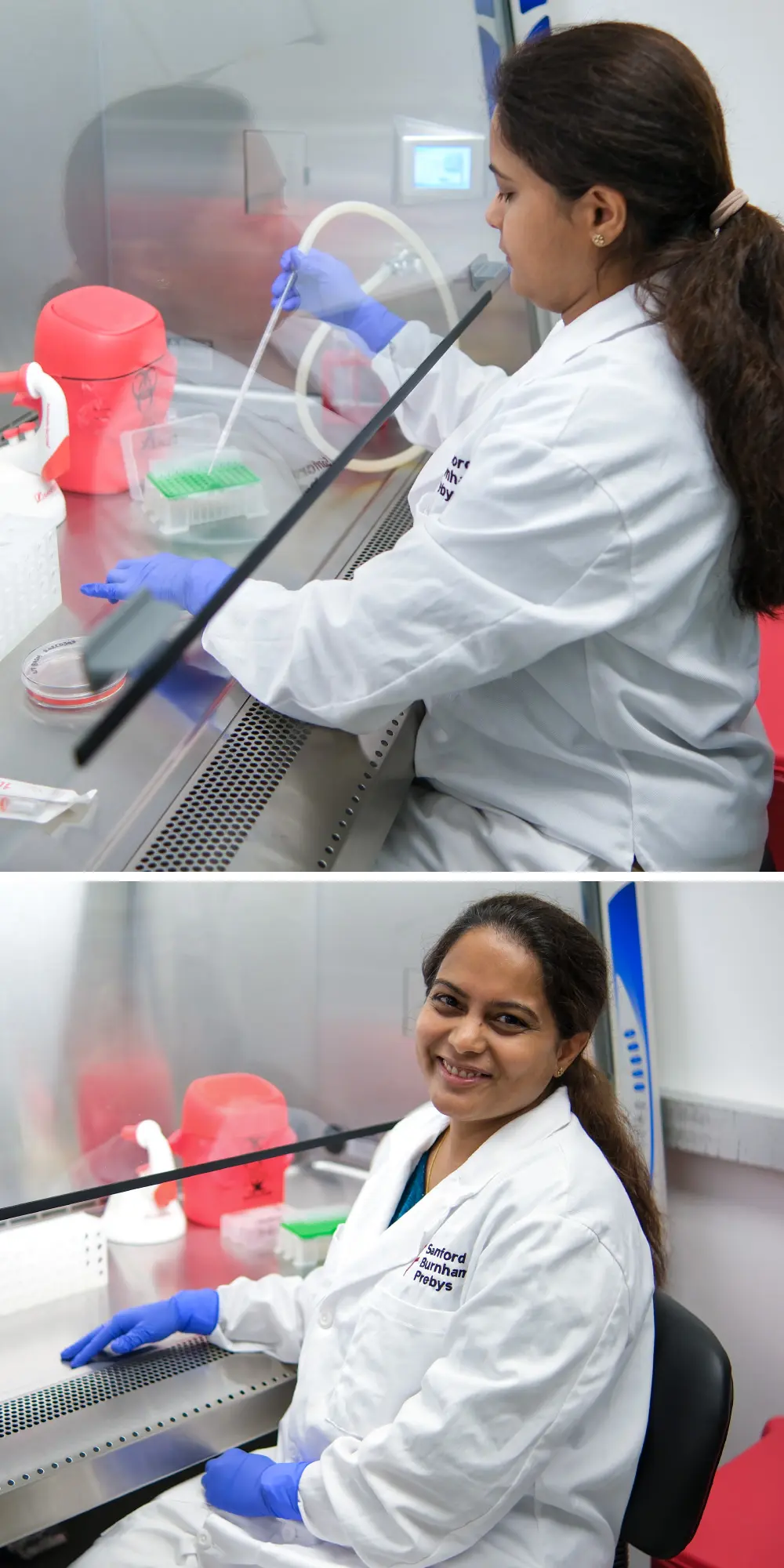 Nilofer Sayed, PhD, photo collage