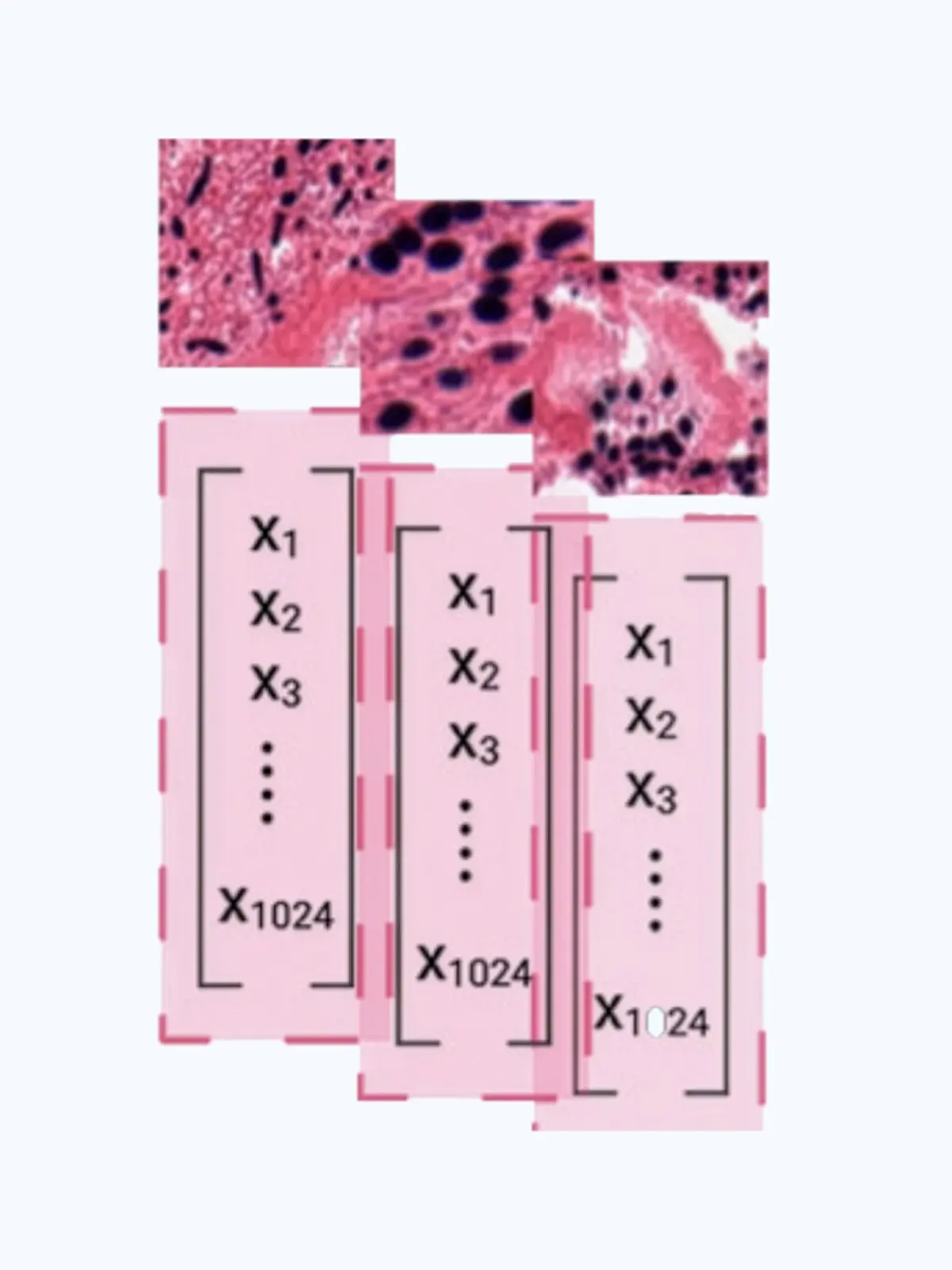 Figure for TLPath