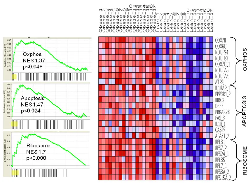 Gene-Set Enrichment Analysis