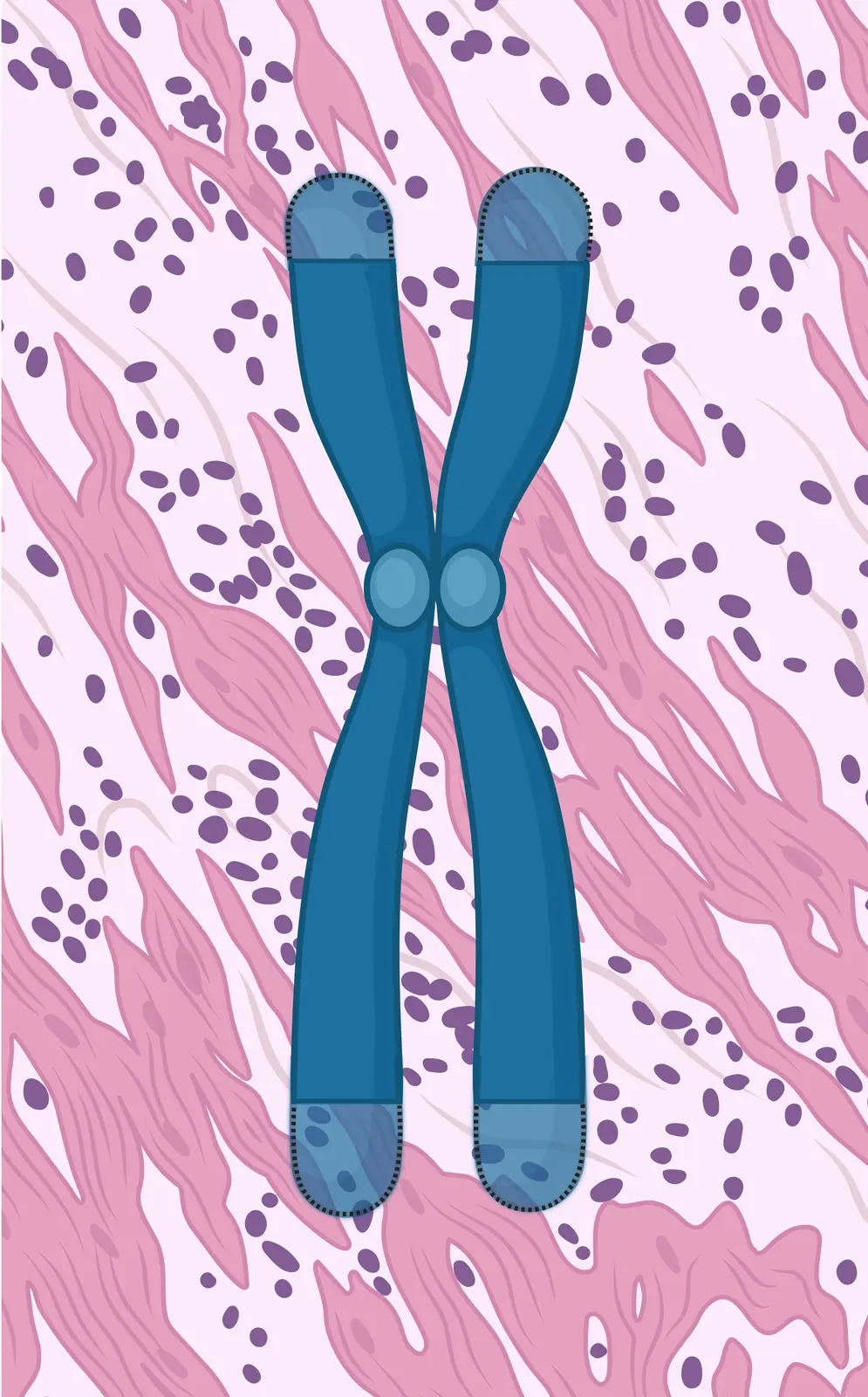 TLPath illustration