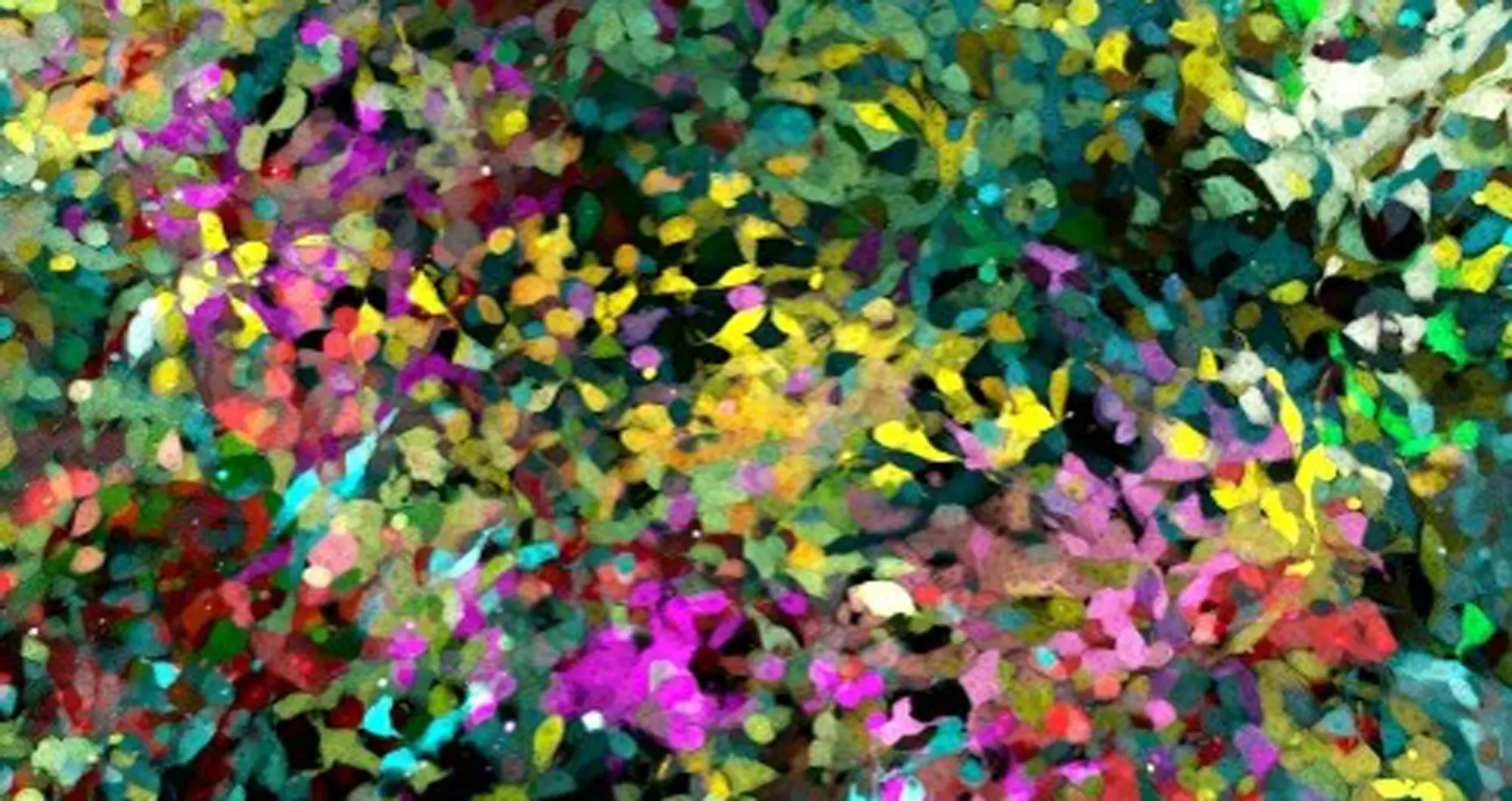 Connective tissue, colorfully illustrated with five different fluorescent proteins. Image courtesy of Daniela Malide, NIH.