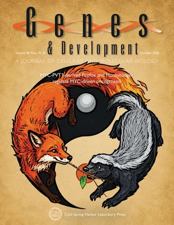 Genes & Development cover, October 1, 2026; 40 (19-20).