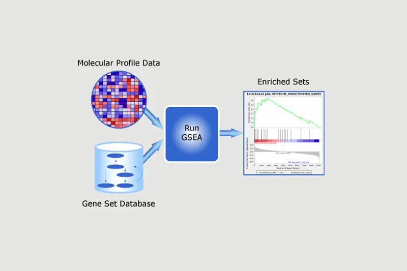 GSEA graphic