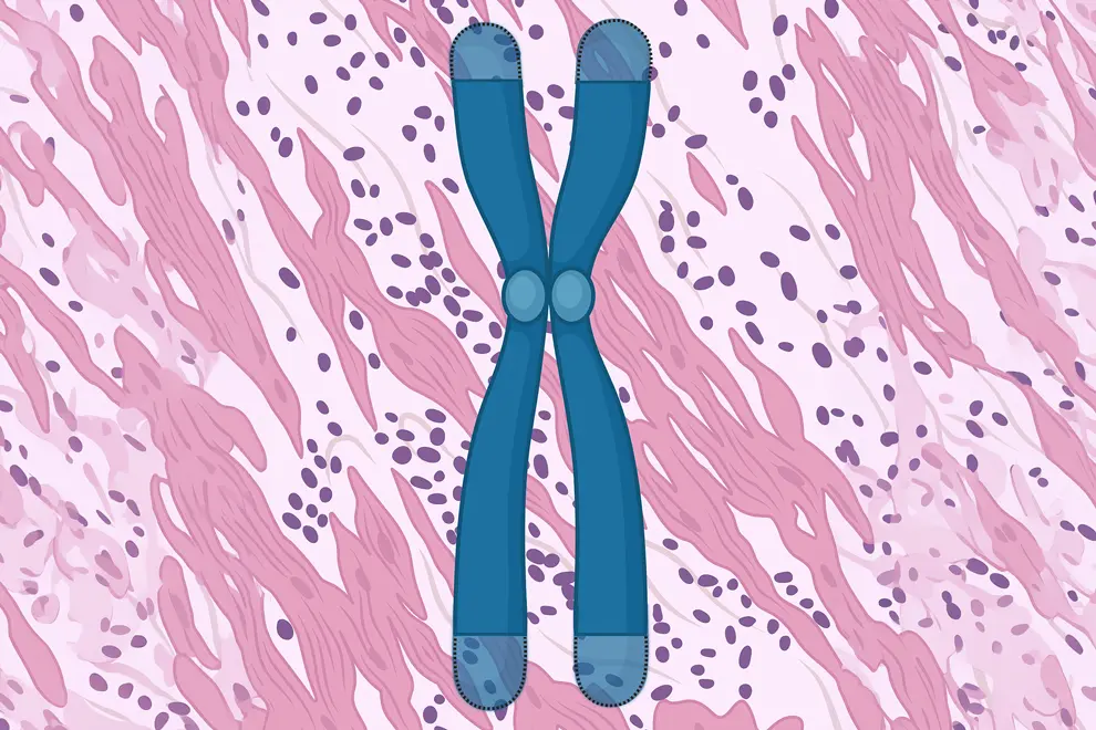 TLPath illustration