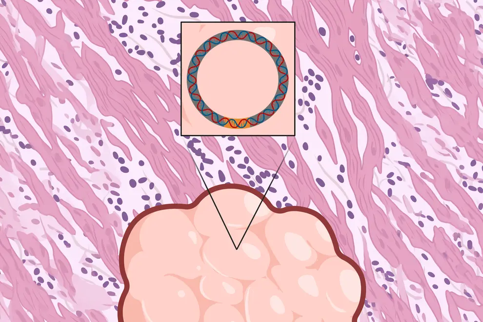 ecPath illustration